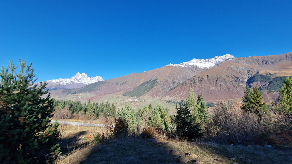 Svaneti-Tal mit Kiefernwald und schneebedeckten Kaukasus-Gipfeln