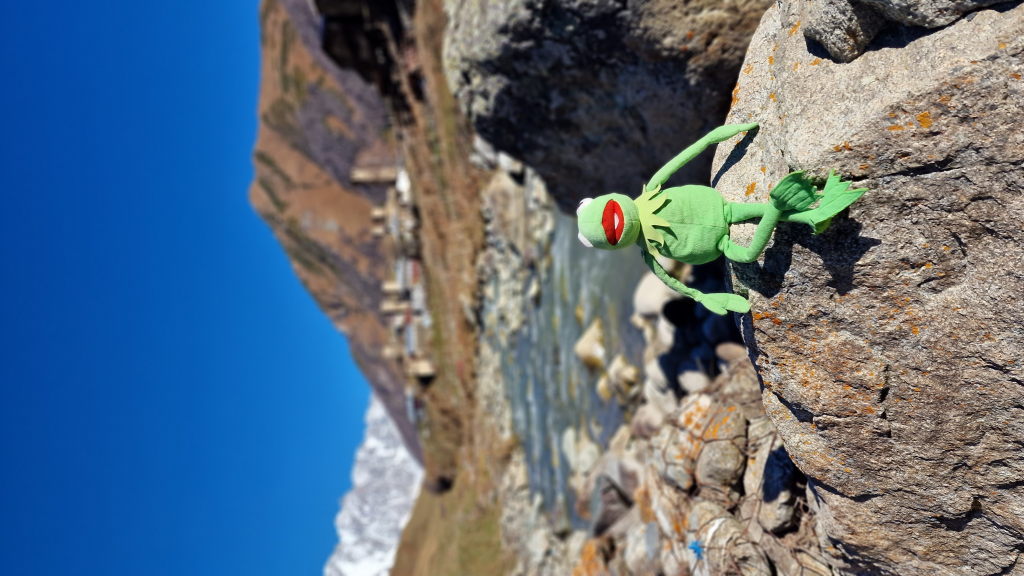 Kermit sitzt auf einem Felsen am Bach vor Ushguli und dem Shkhara-Massiv