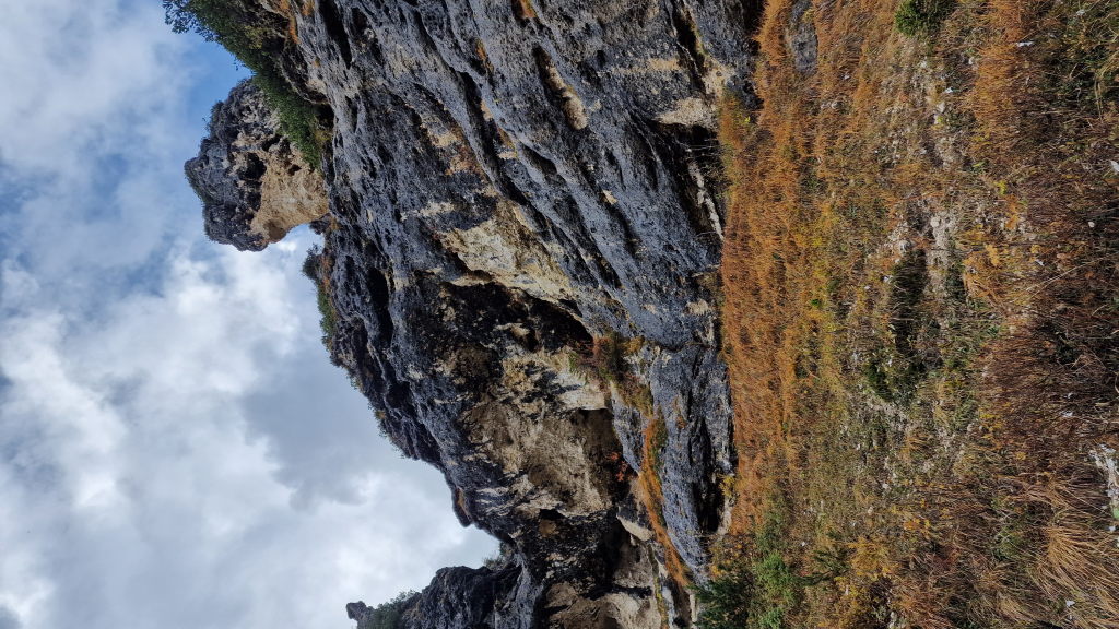 Felsformation Wettersteingebirge Herbstgras Kalkstein