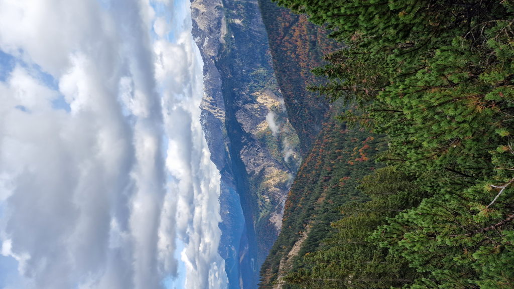 Herbst Bergwald Garmisch Werdenfels Aussicht