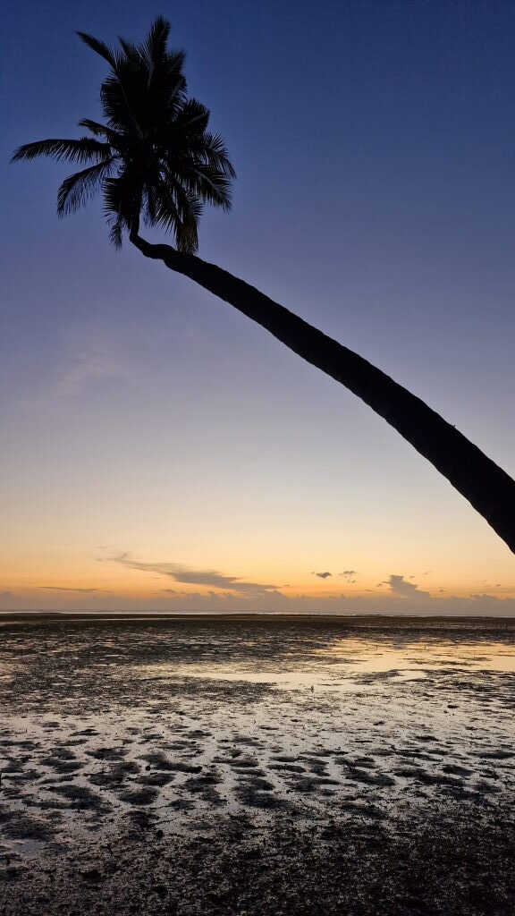 Philippinen Teil 1E – Puerto Princesa & El Nido